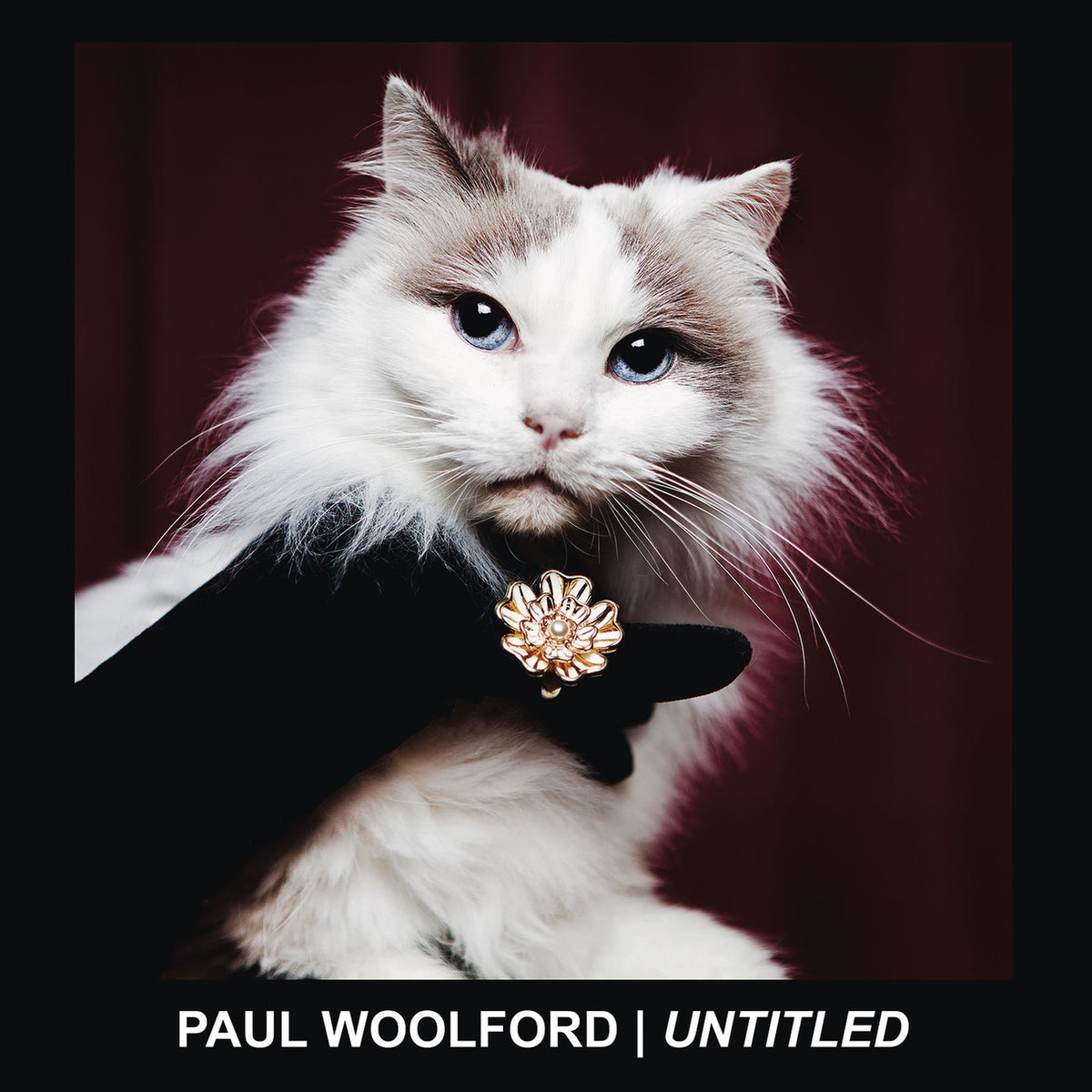 Paul Woolford – Untitled vinyl record cover