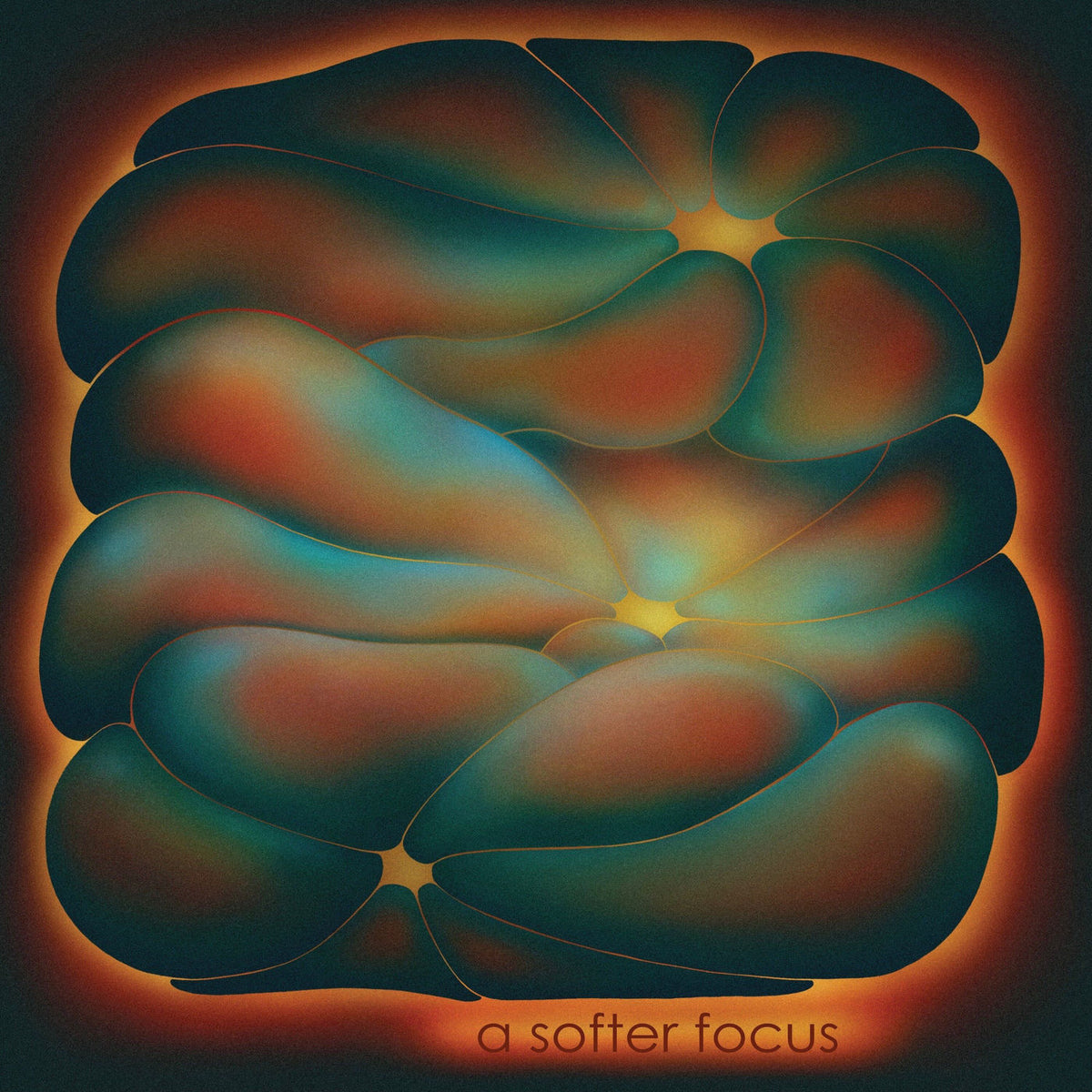 claire rousay – a softer focus vinyl cover