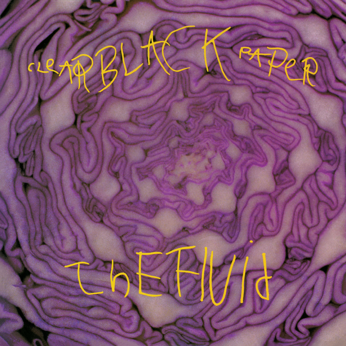 The Fluid – Clear Black Paper vinyl record cover