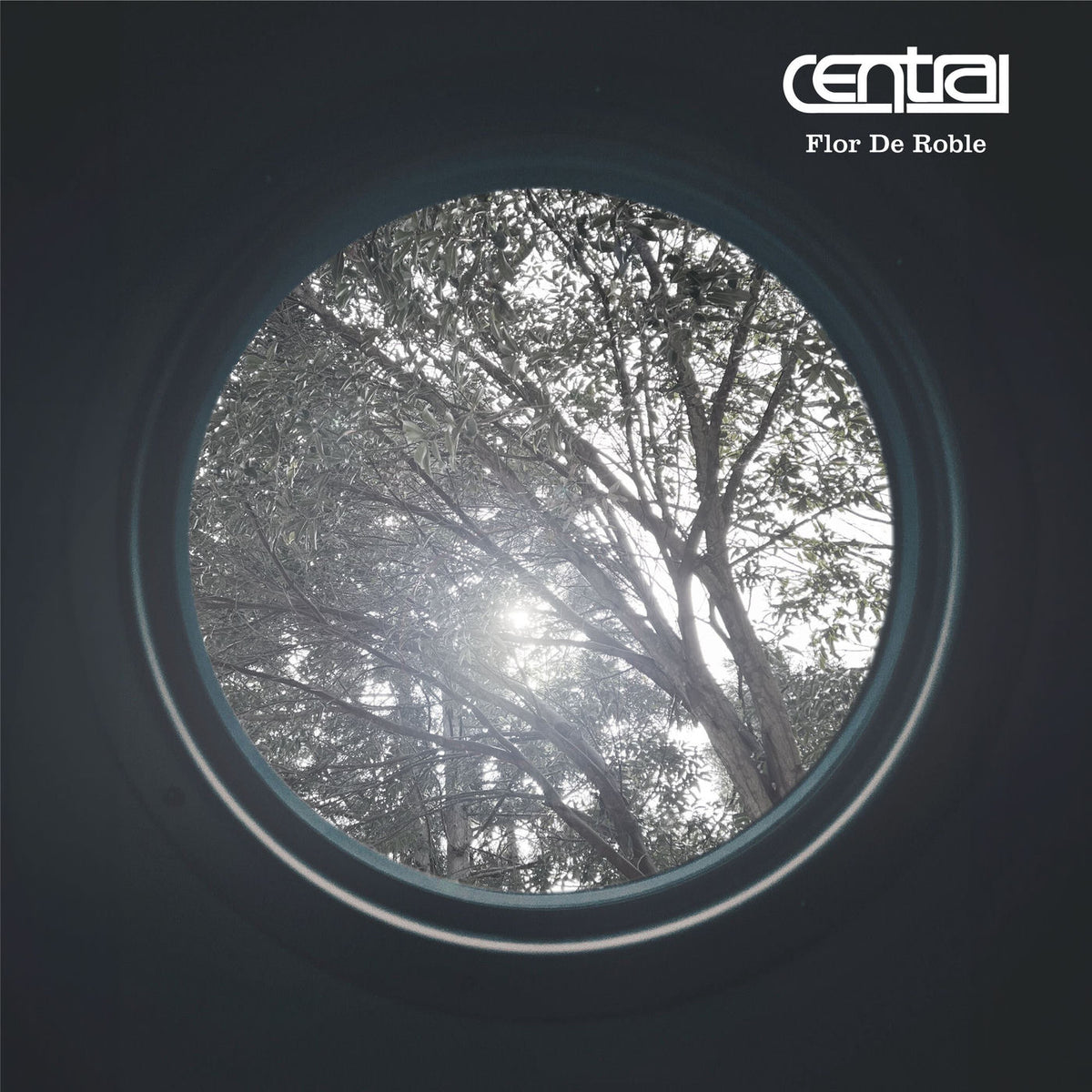 Central – Flor De Roble vinyl record cover