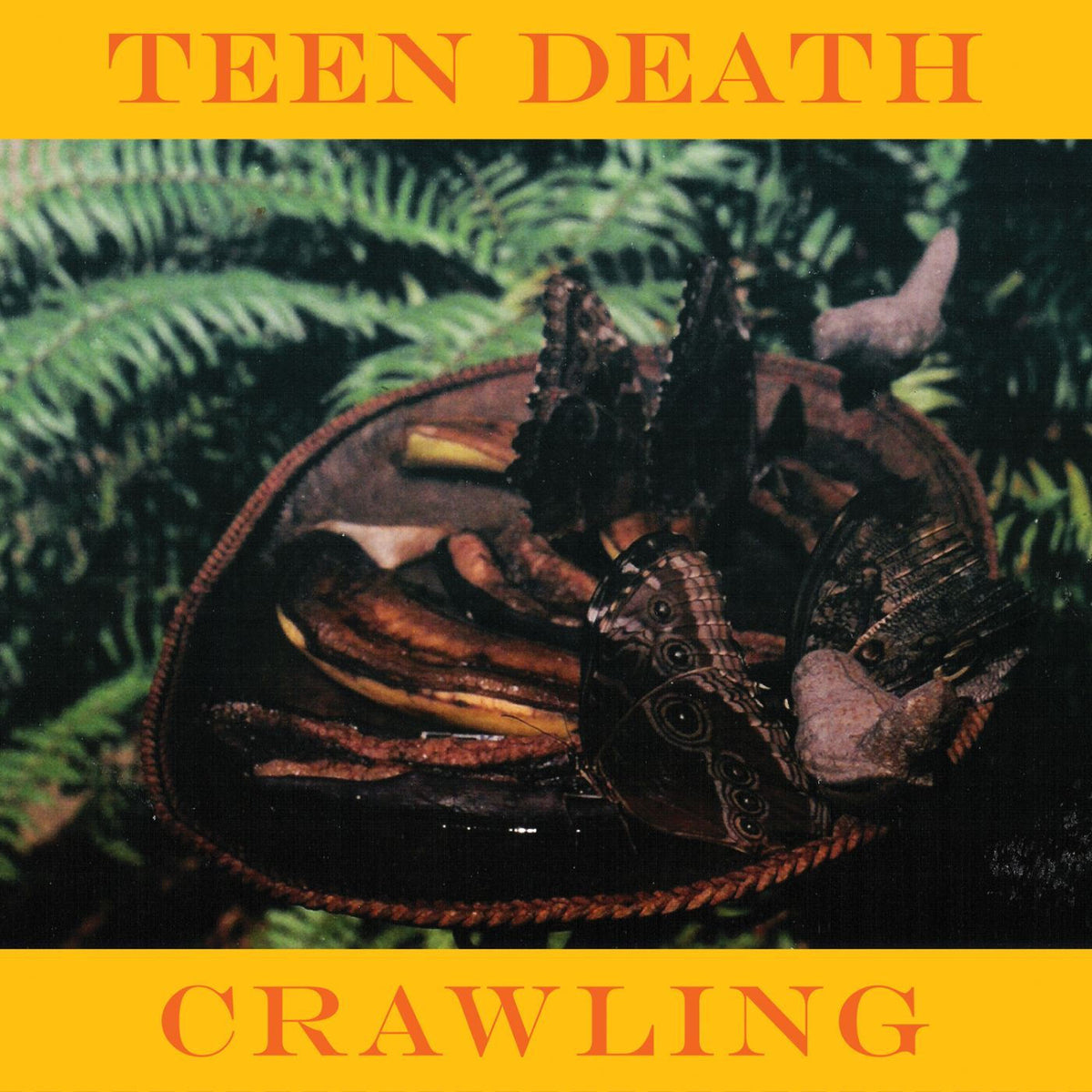 Teen Death – Crawling vinyl cover