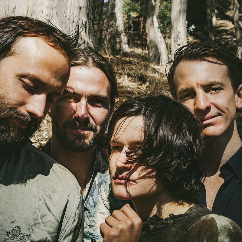 Big Thief – Two Hands vinyl record cover