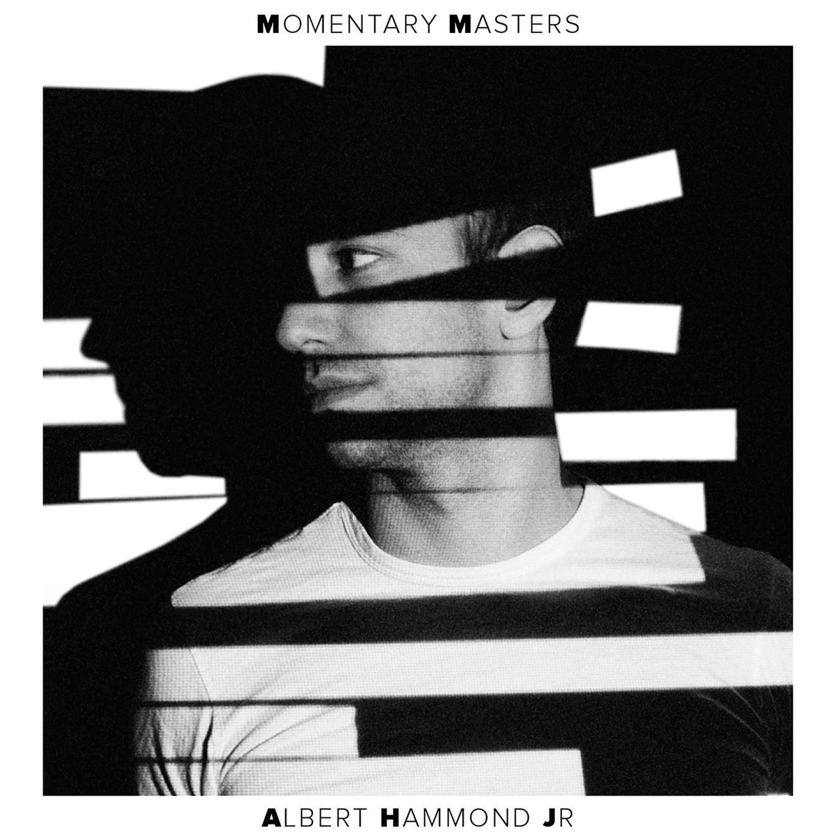 Albert Hammond Jr – Momentary Masters vinyl record cover