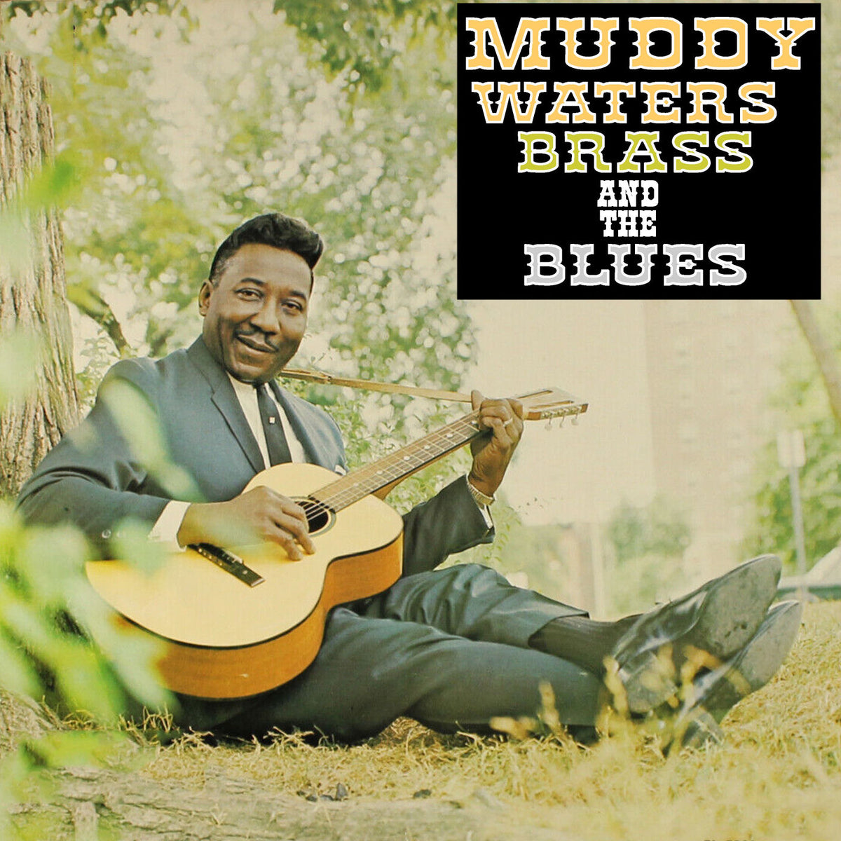 Muddy Waters – Muddy, Brass and the Blues vinyl record cover