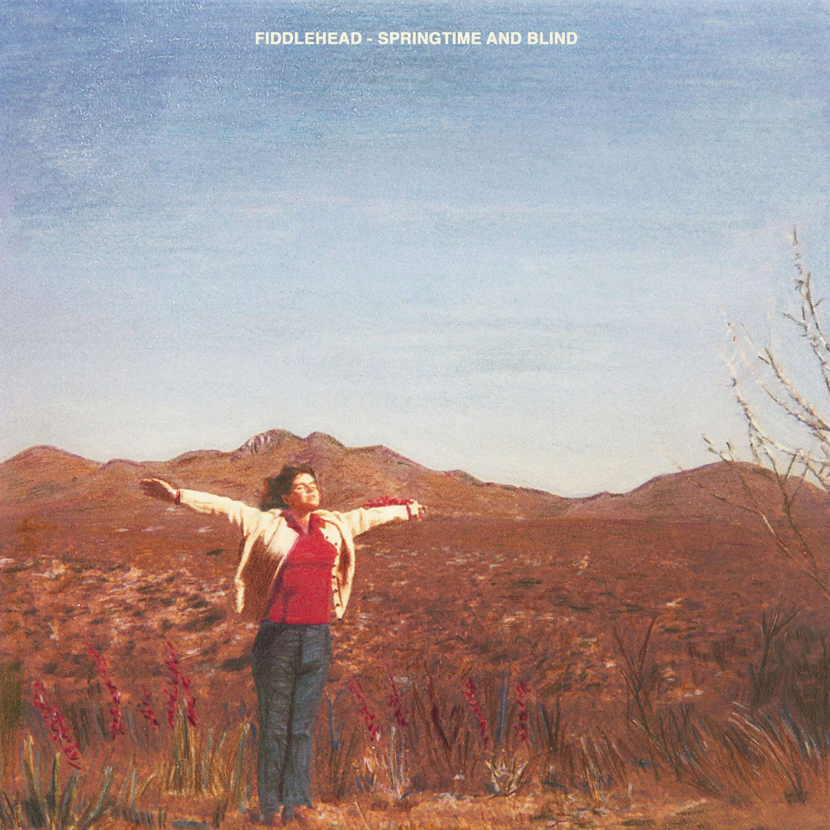 Fiddlehead – Springtime and Blind vinyl cover
