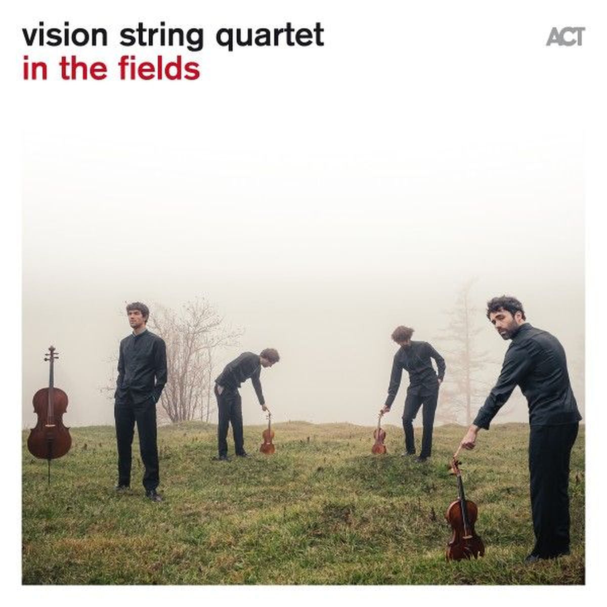 vision string quartet – in the fields vinyl cover