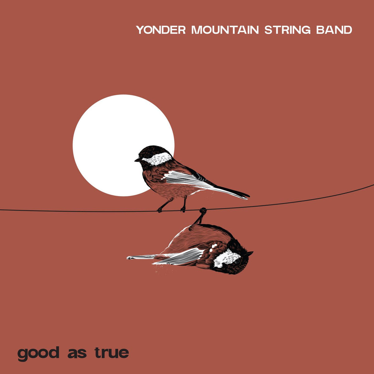 Yonder Mountain String Band – Good As True vinyl record cover