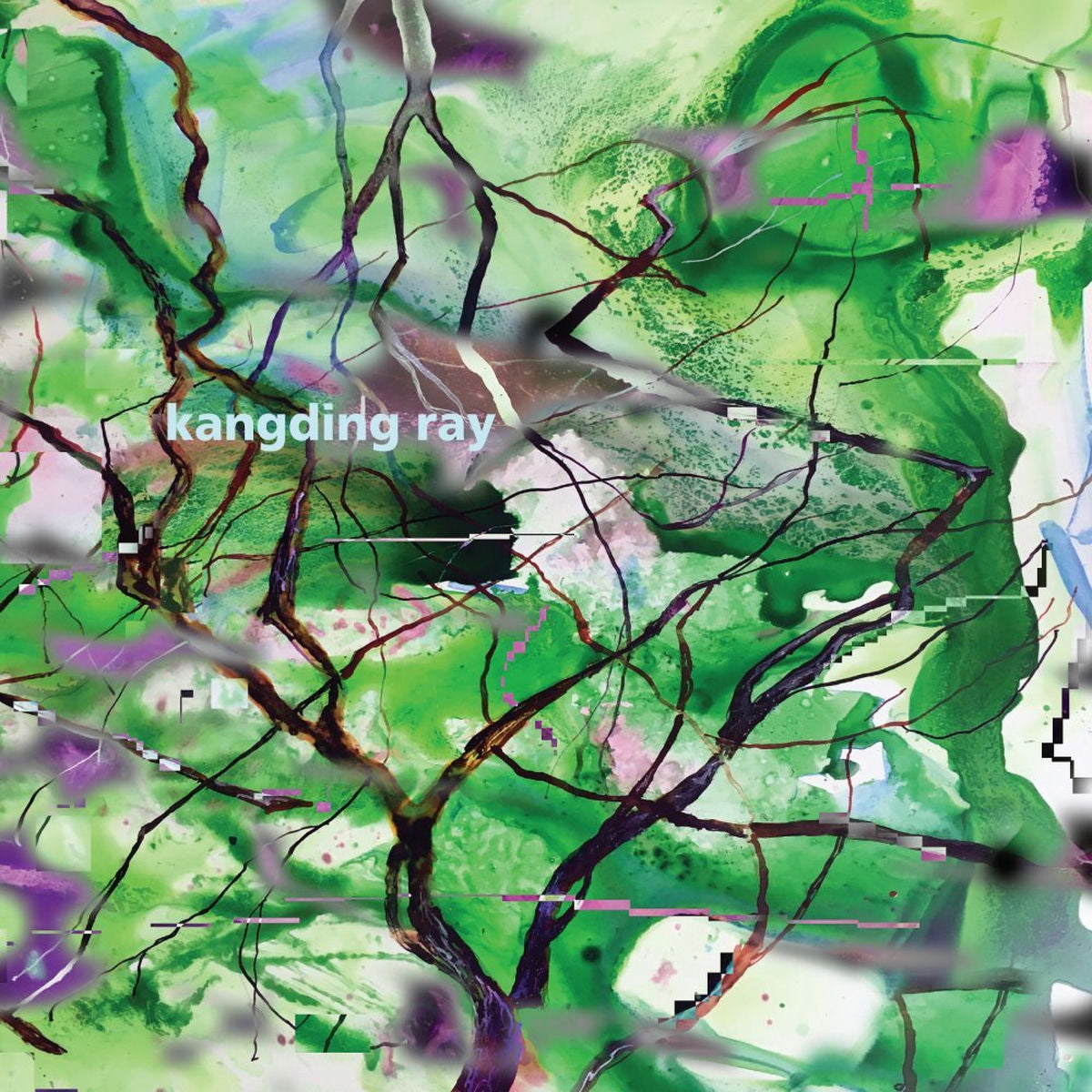 Kangding Ray – Branches vinyl cover