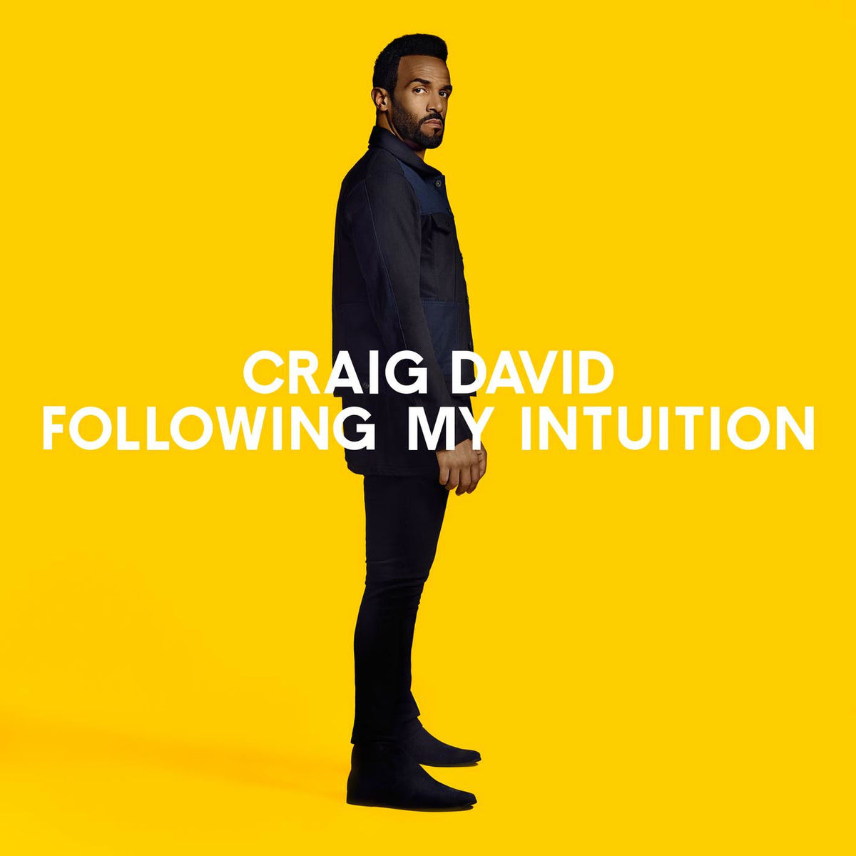 Craig David – Following My Intuition vinyl cover
