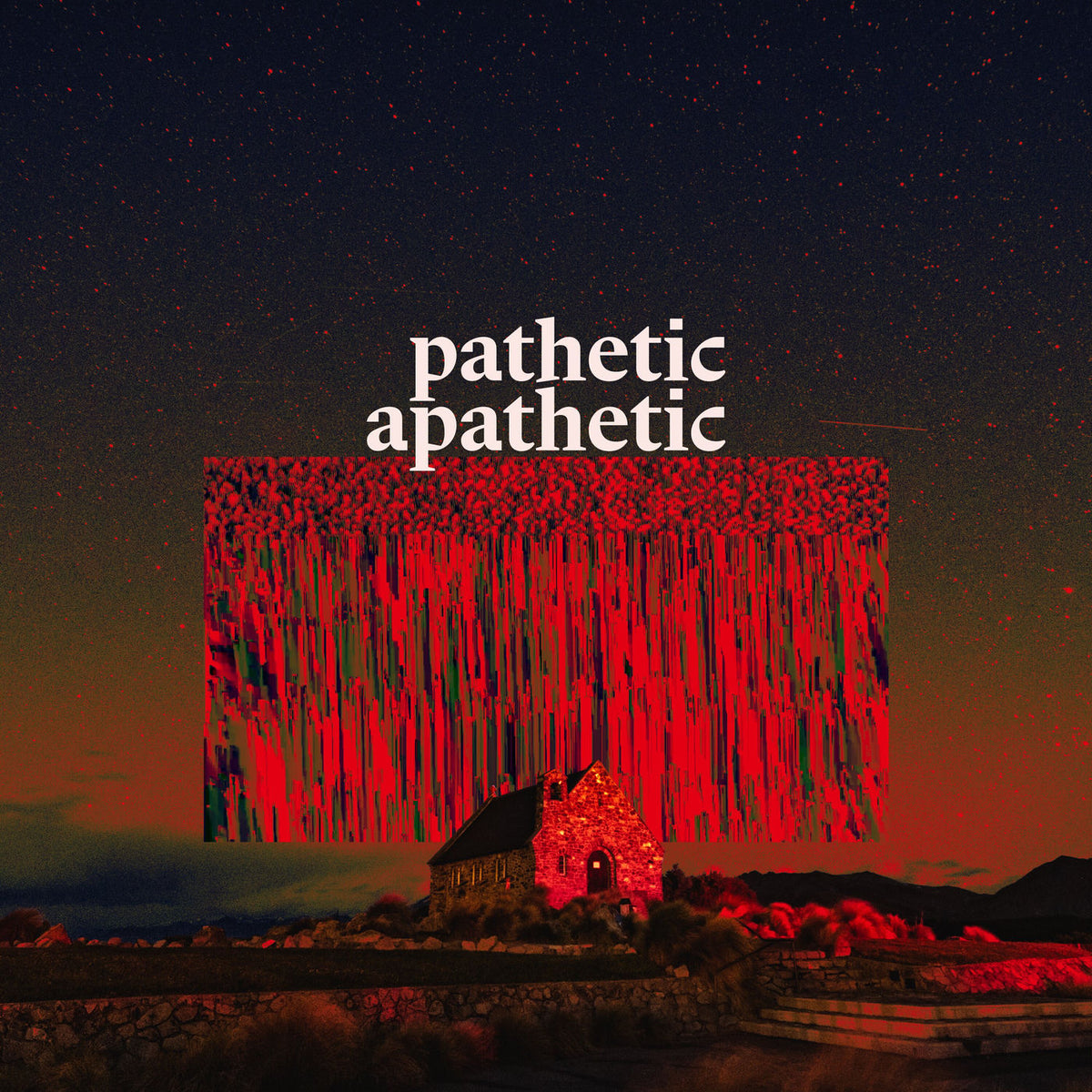 Indoor Pets – Pathetic Apathetic vinyl record cover