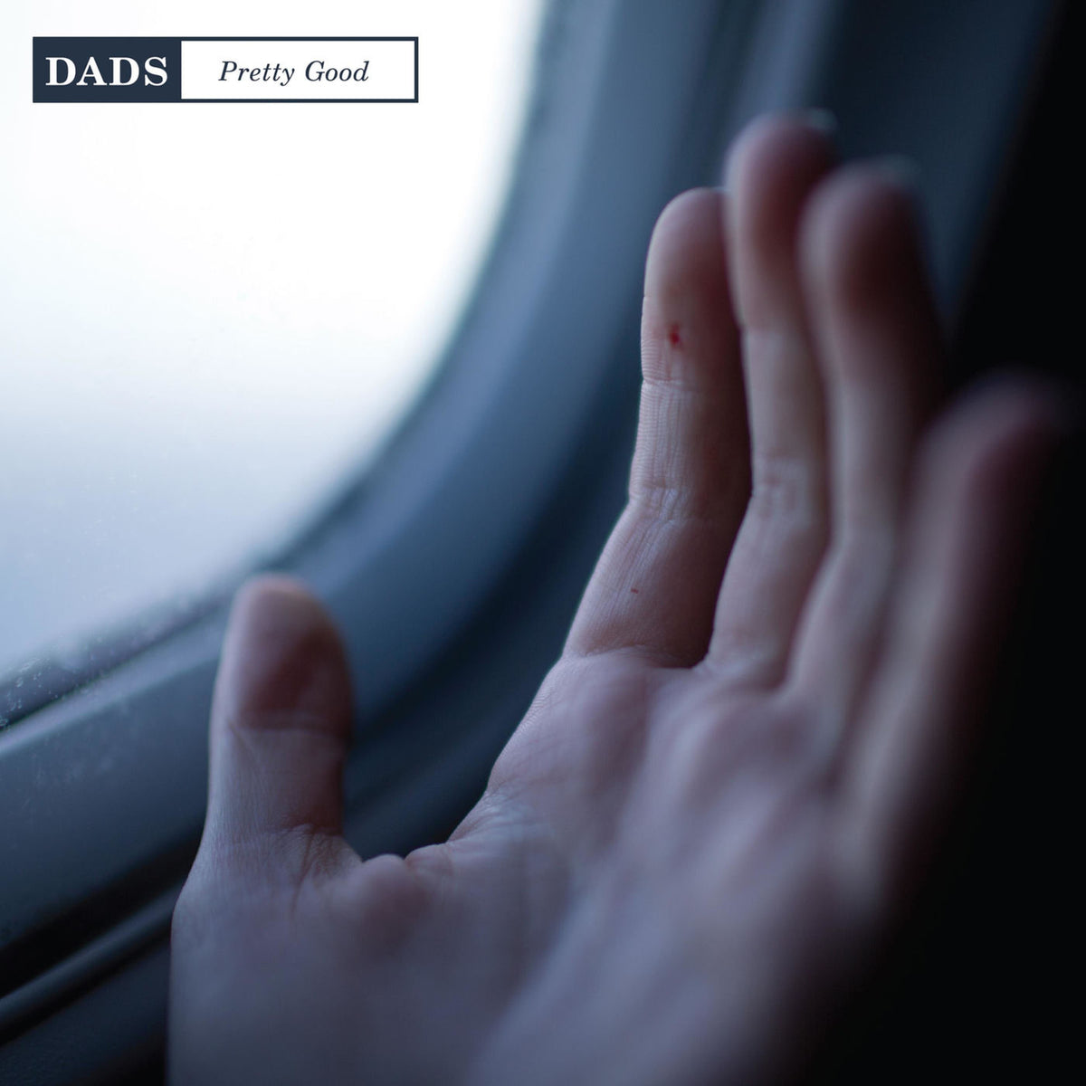 Dads – Pretty Good vinyl cover