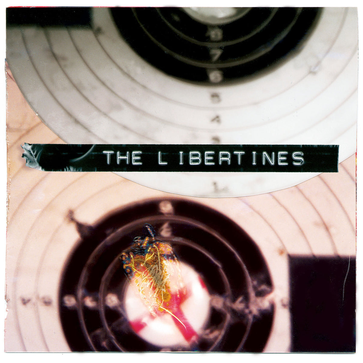 The Libertines – What a Waster vinyl cover