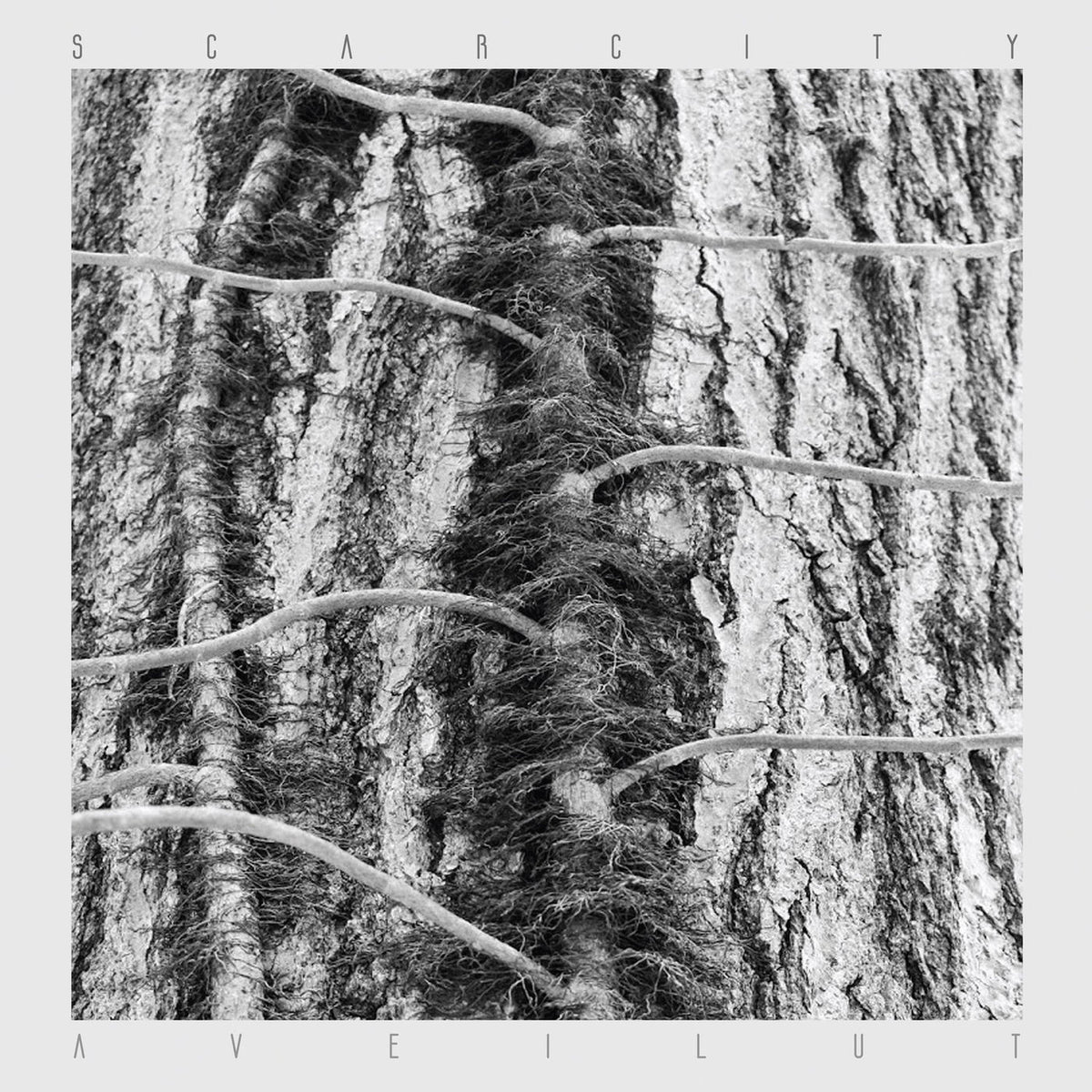 Scarcity – Aveilut [LP] vinyl record cover