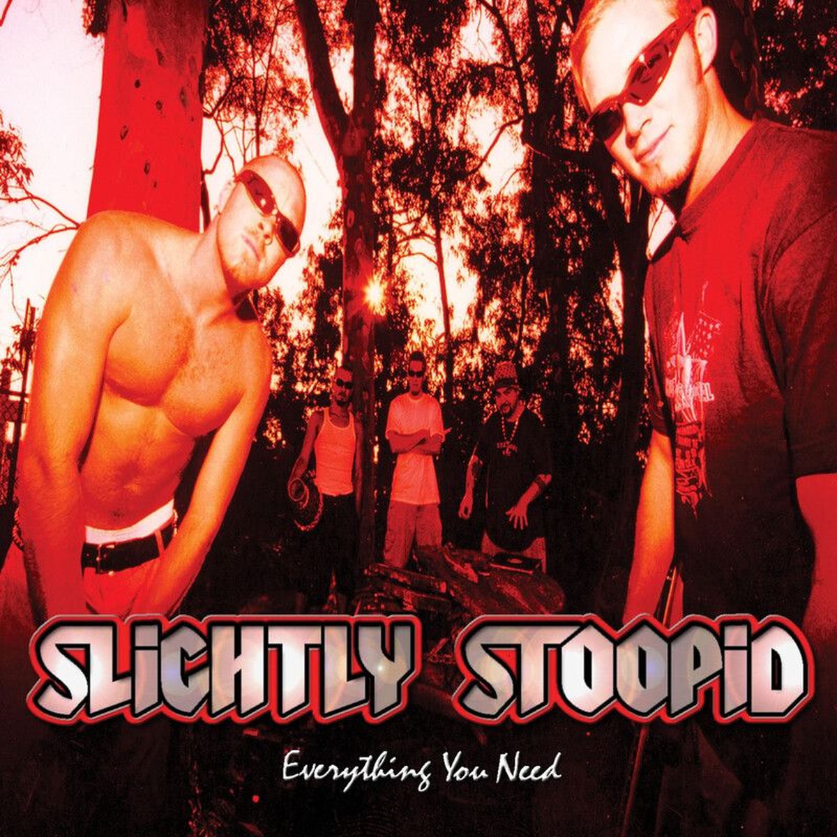 Slightly Stoopid – Everything You Need vinyl record cover
