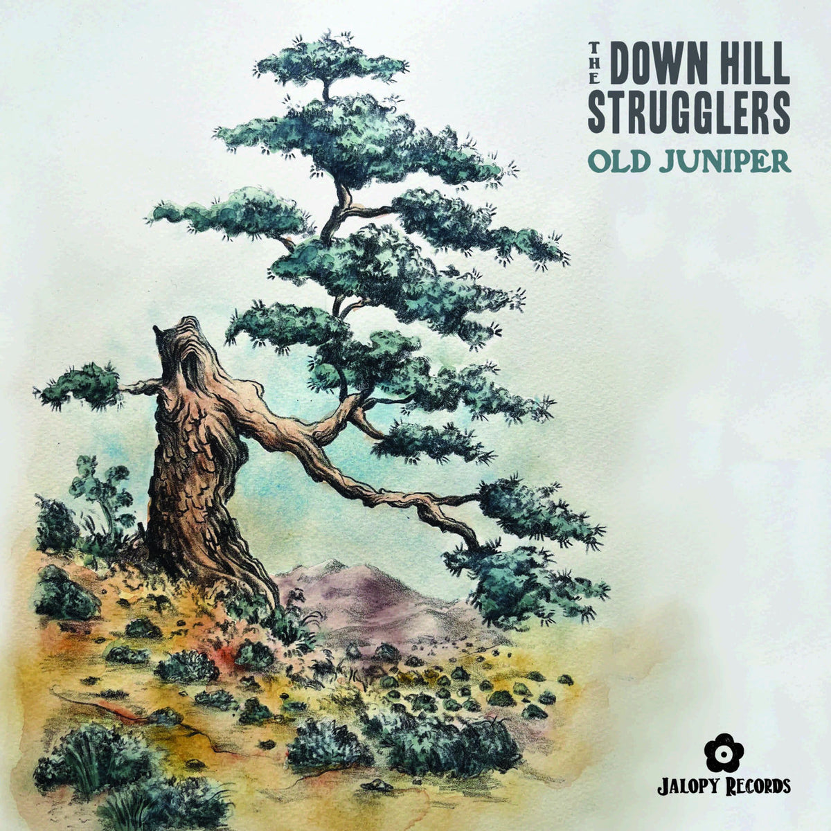 The Down Hill Strugglers – Old Juniper vinyl record cover