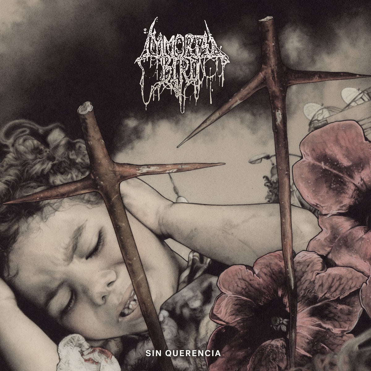 Immortal Bird – Sin Querencia vinyl record cover