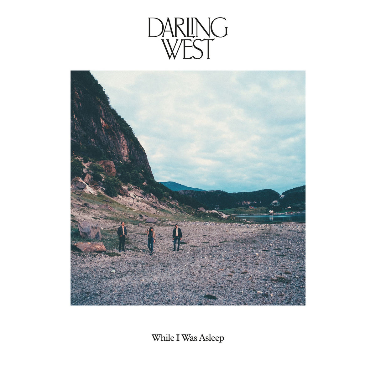 Darling West – While I Was Asleep vinyl record cover