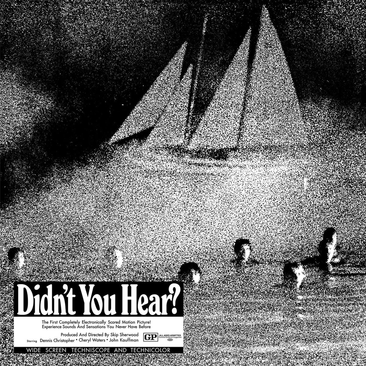 Mort Garson – Didn't You Hear? vinyl cover