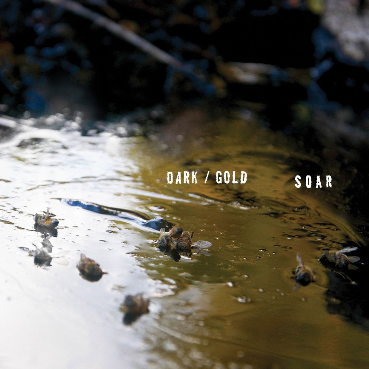 Soar – dark / gold vinyl cover