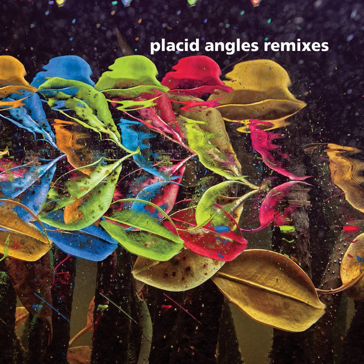 Placid Angles – Touch The Earth Remixes vinyl cover
