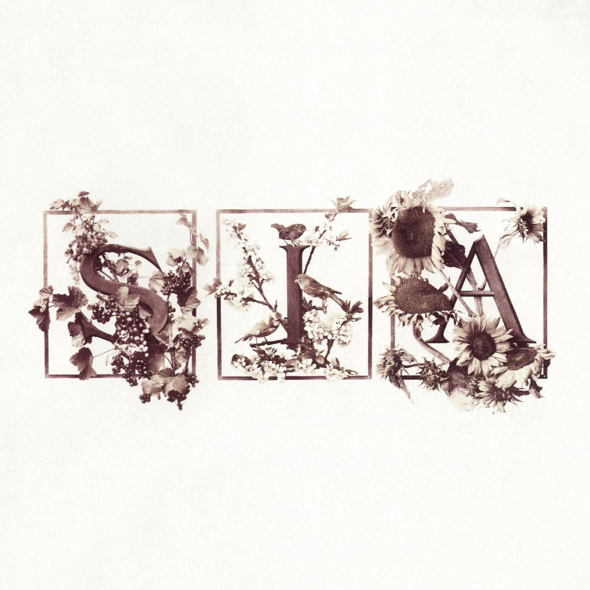 SIA – Colour The Small One vinyl record cover