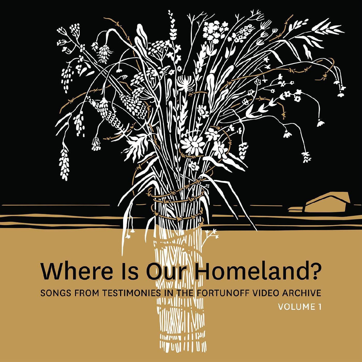 Zisl Slepovitch – Where Is Our Homeland? Songs From Testimonies in the Fortunoff Video Archive, Vol. 1 vinyl cover