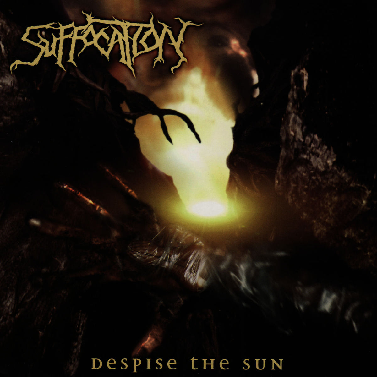 Suffocation – Despise the Sun vinyl cover