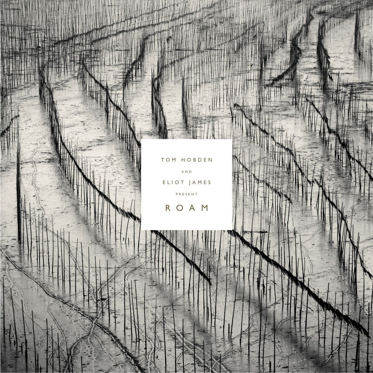 Tom Hobden – Tom Hobden & Eliot James Present: Roam vinyl cover