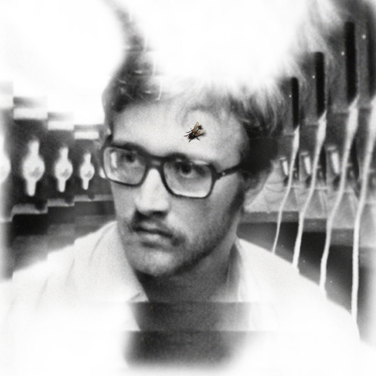 Damaged Bug – Bug On Yonkers vinyl record cover