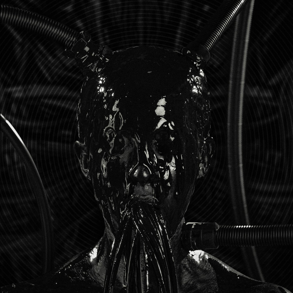 Gravemind – Introsphere (STANDARD) — album cover