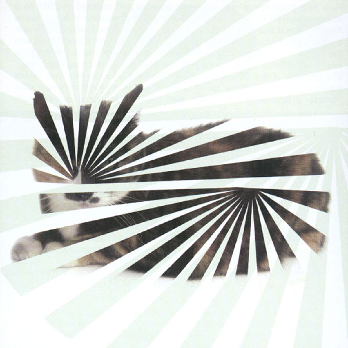 The Blow – Poor Aim: Love Songs vinyl cover