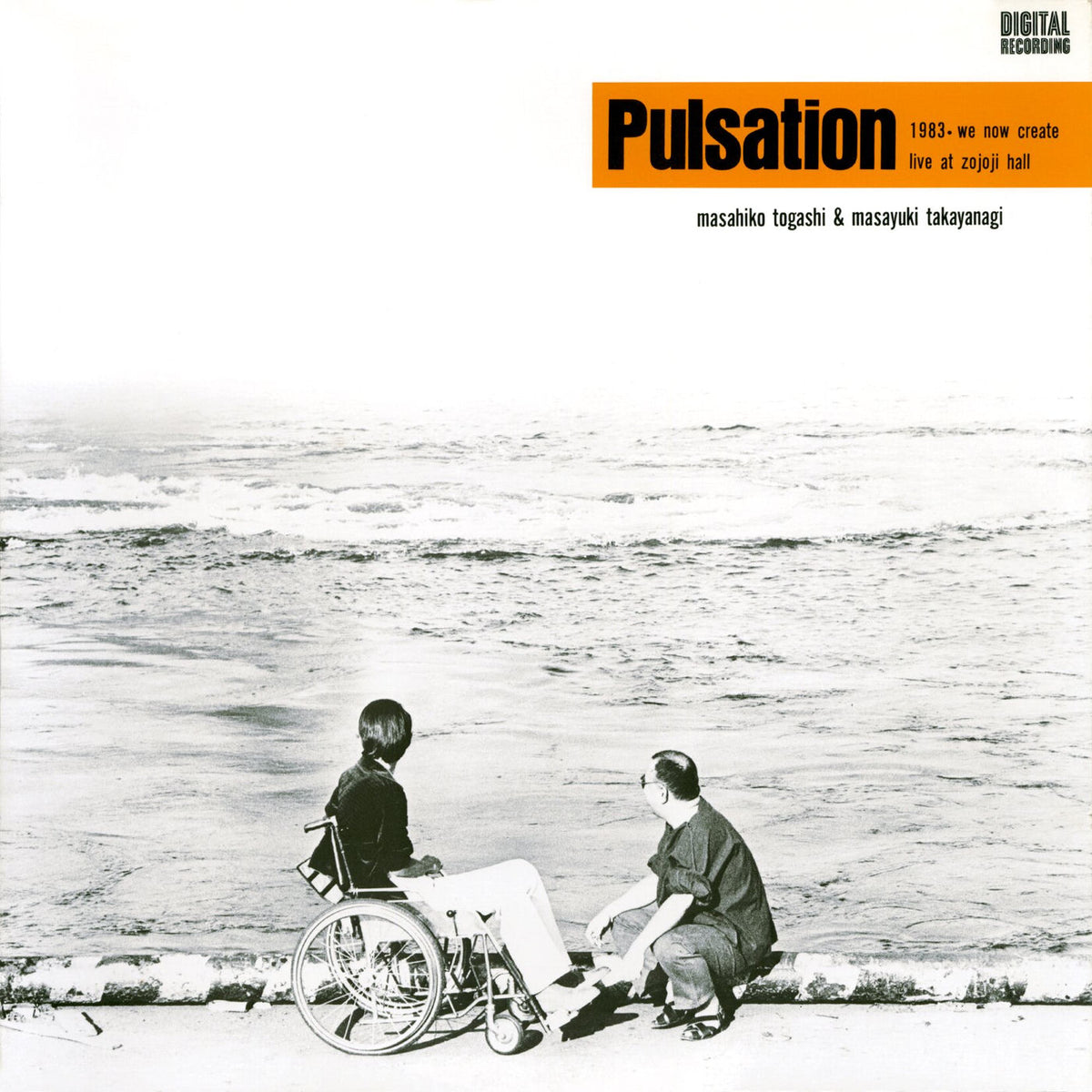 Masahiko Togashi & Masayuki Takayanagi – Pulsation vinyl record cover