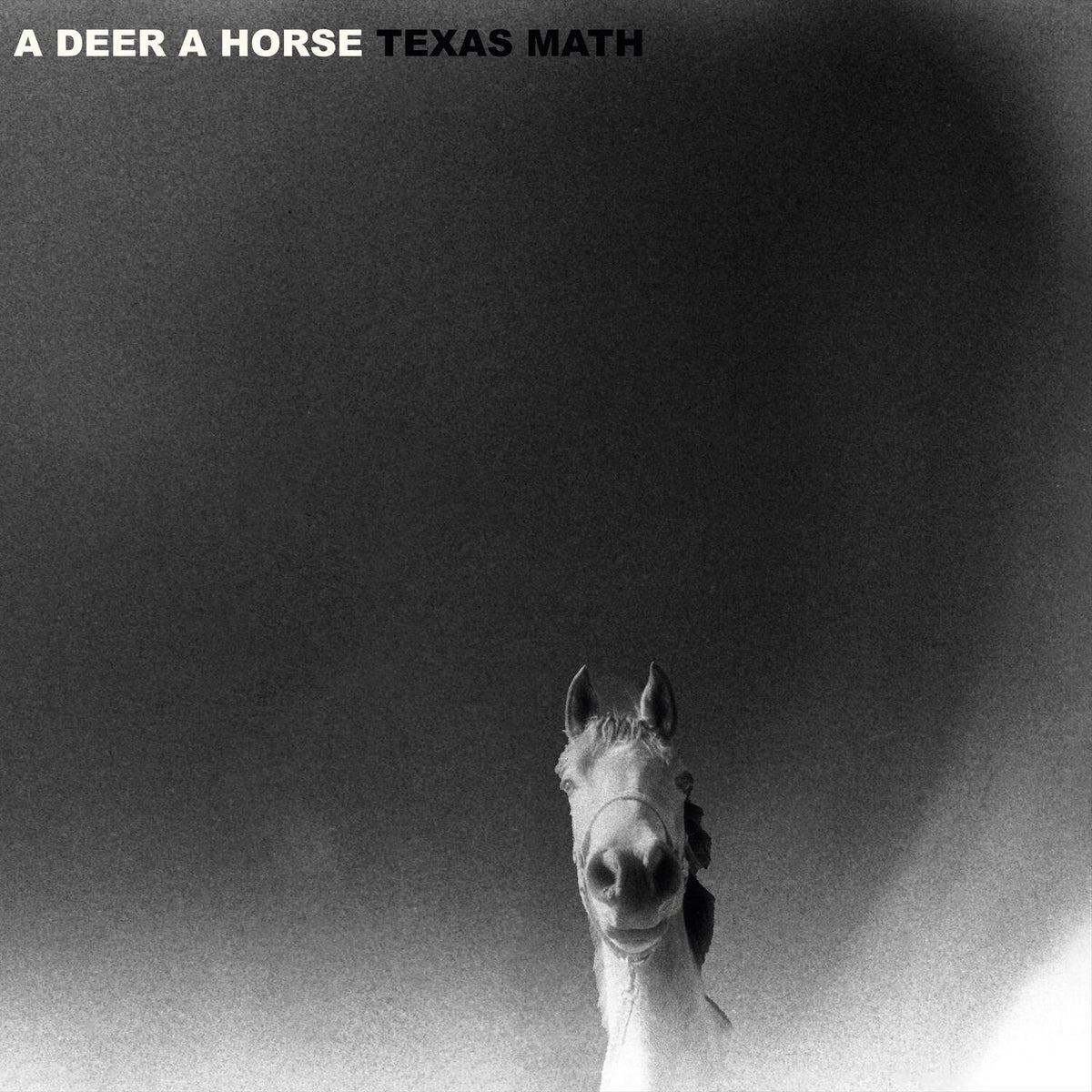 A Deer A Horse – Texas Math vinyl record cover