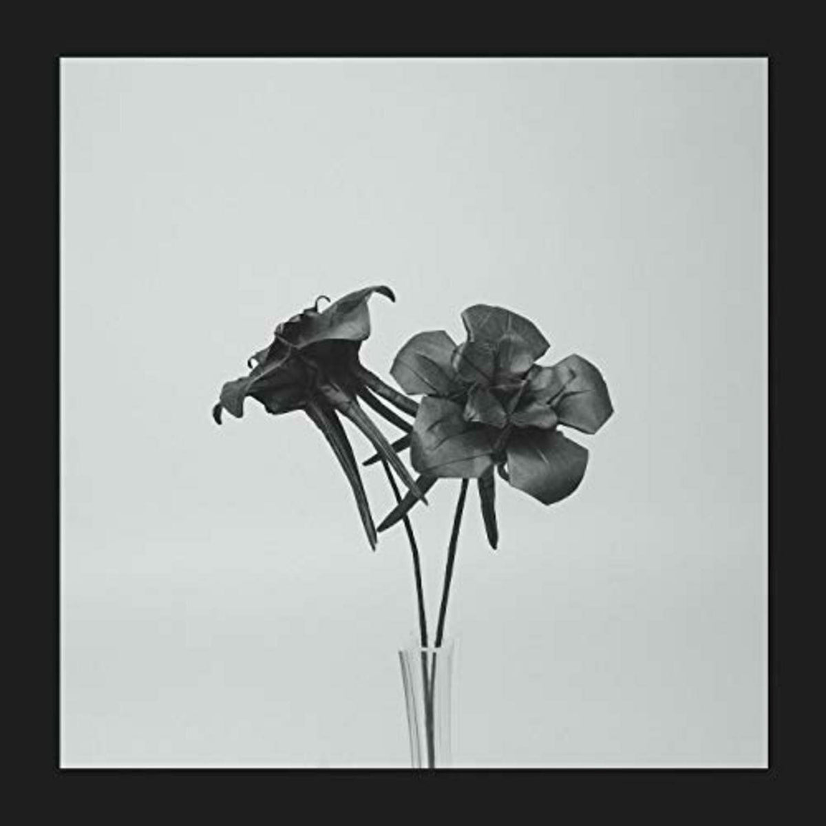 Jlin – Dark Lotus vinyl cover