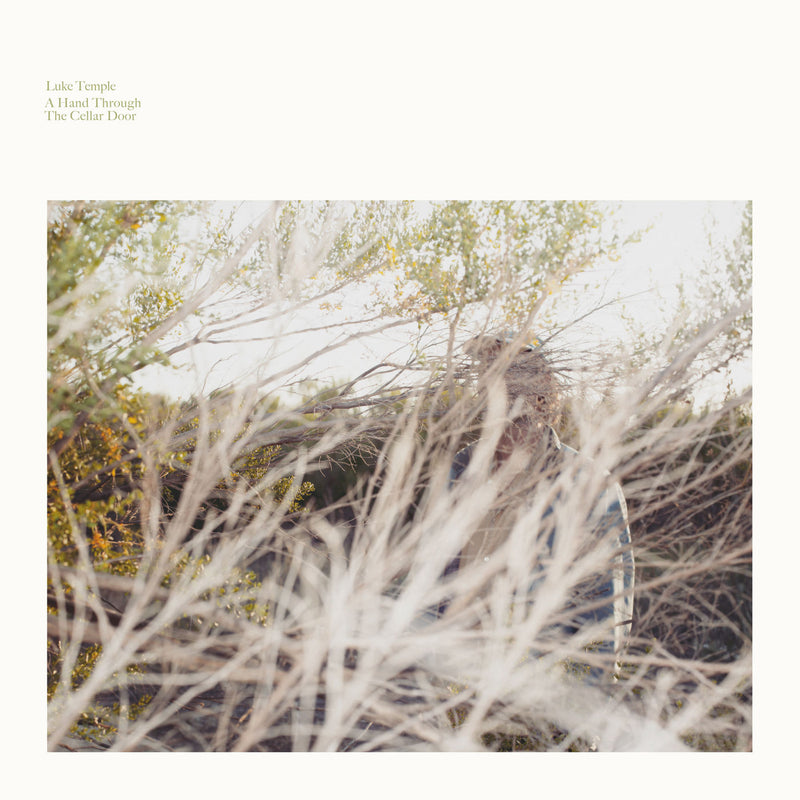 Luke Temple – A Hand Through the Cellar Door vinyl record cover