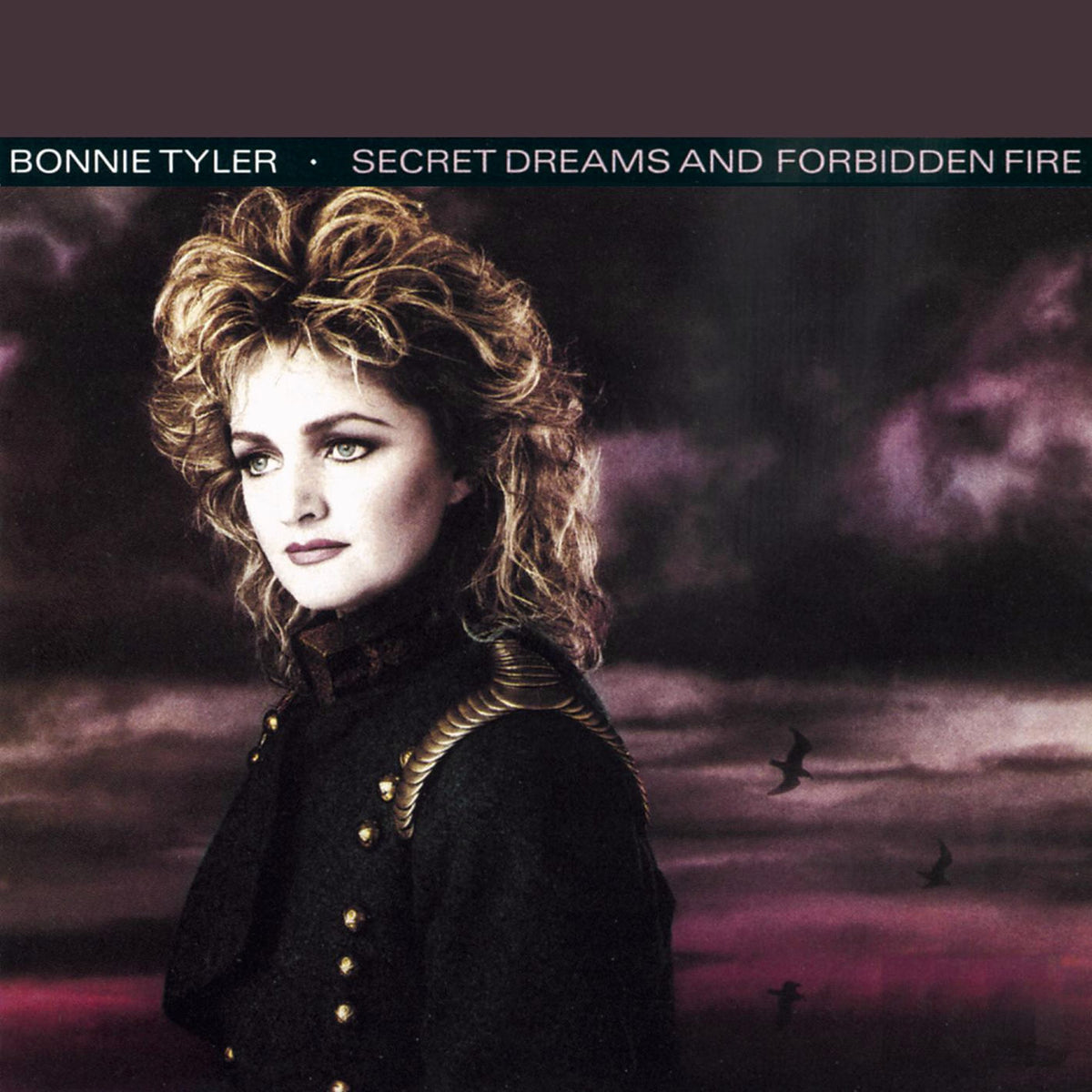 Bonnie Tyler – Secret Dreams and Forbidden Fire vinyl cover
