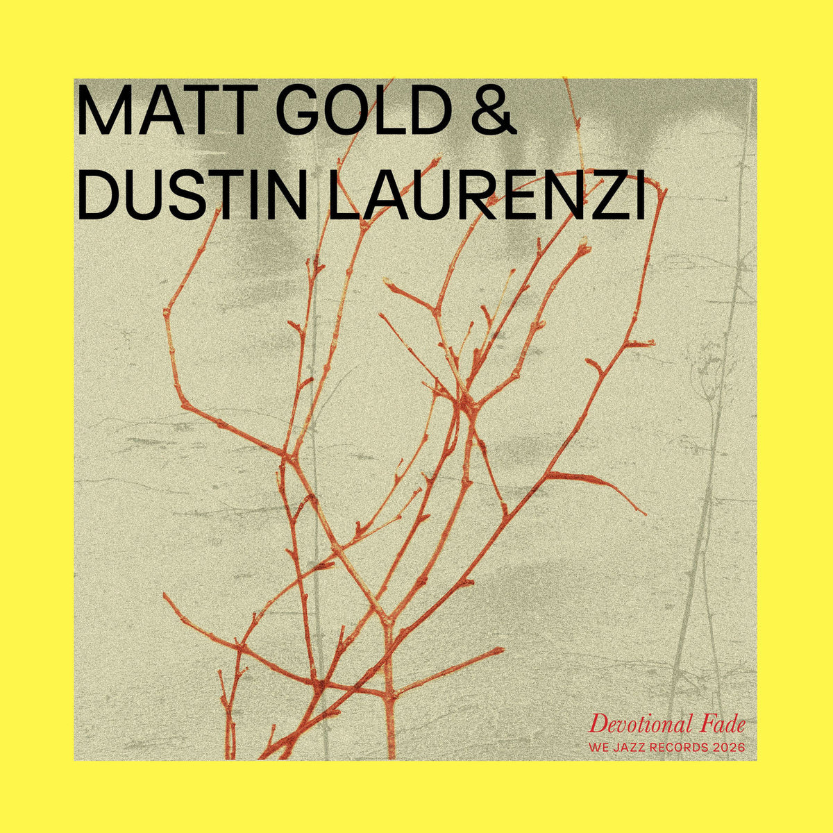 Matt Gold – Devotional Fade vinyl cover