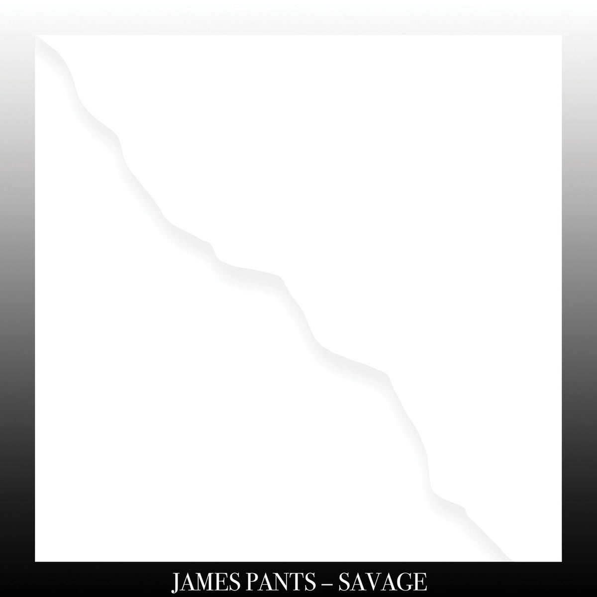 James Pants – Savage vinyl record cover