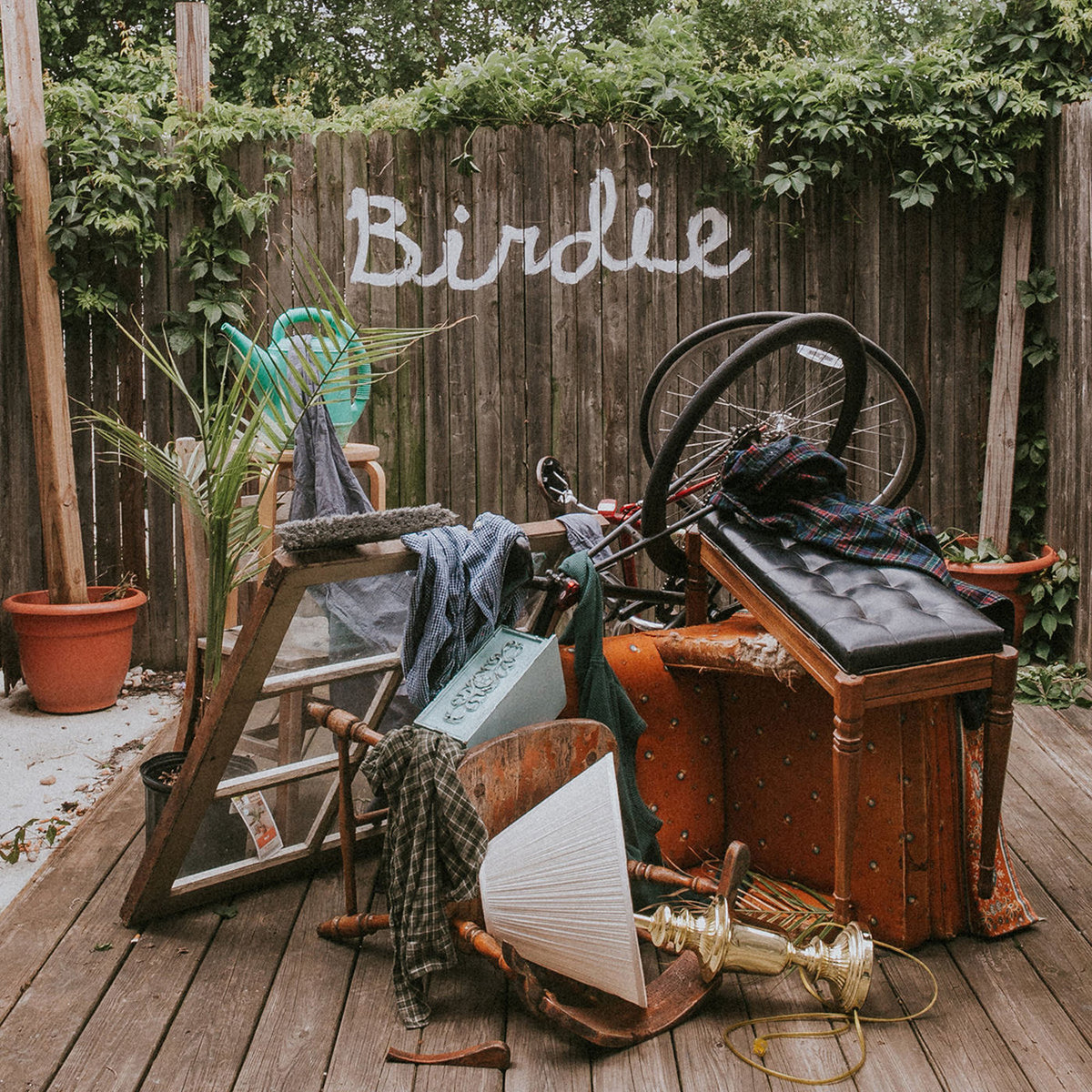 Slaughter Beach, Dog – Birdie vinyl record cover