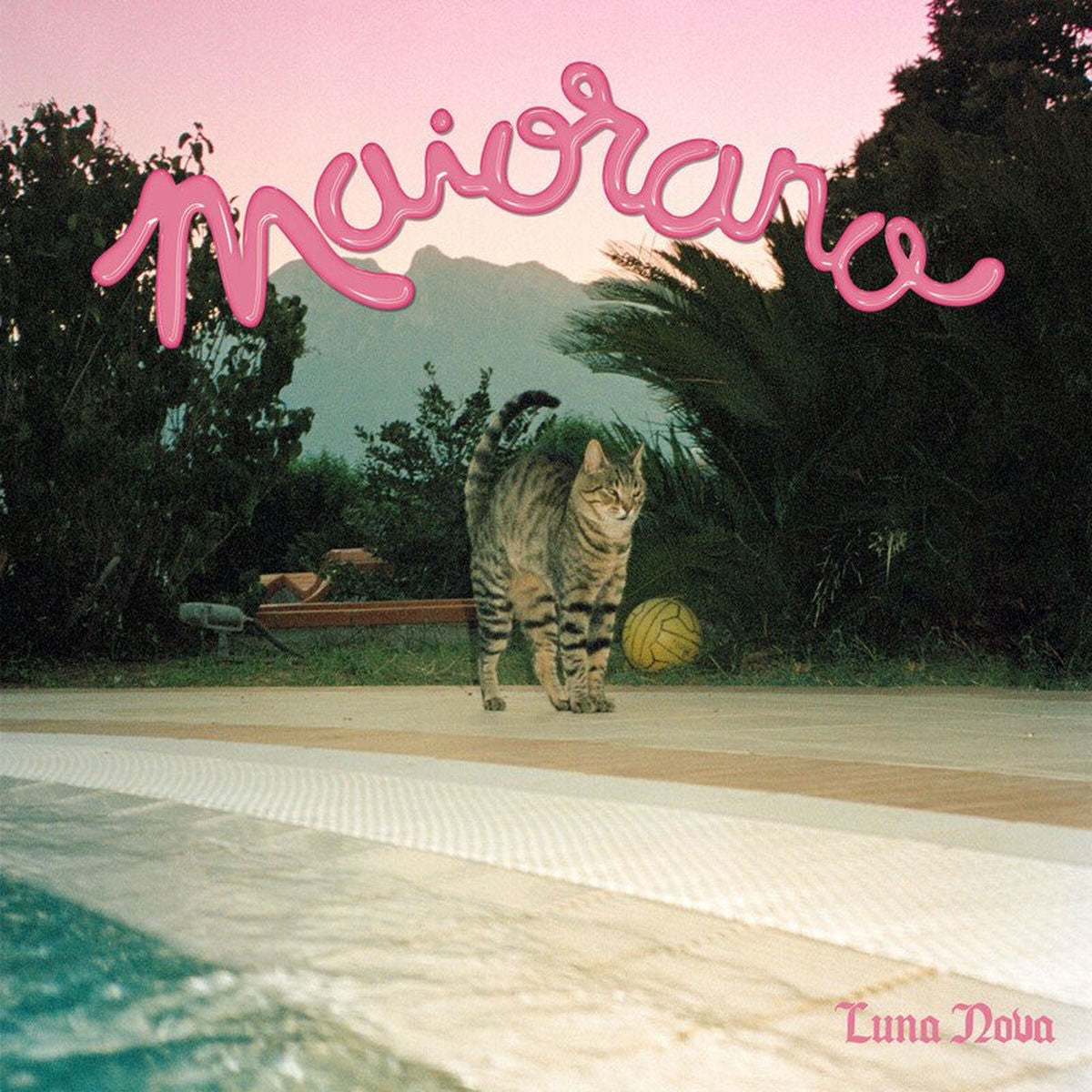 Maiorano – Luna Nova vinyl record cover