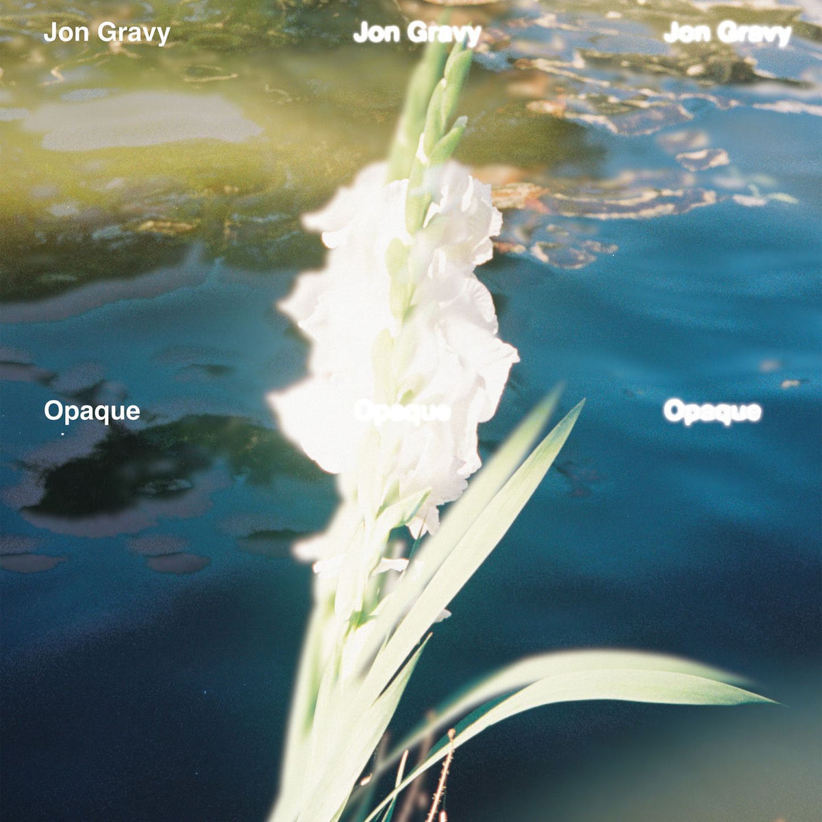 Jon Gravy – Opaque vinyl cover