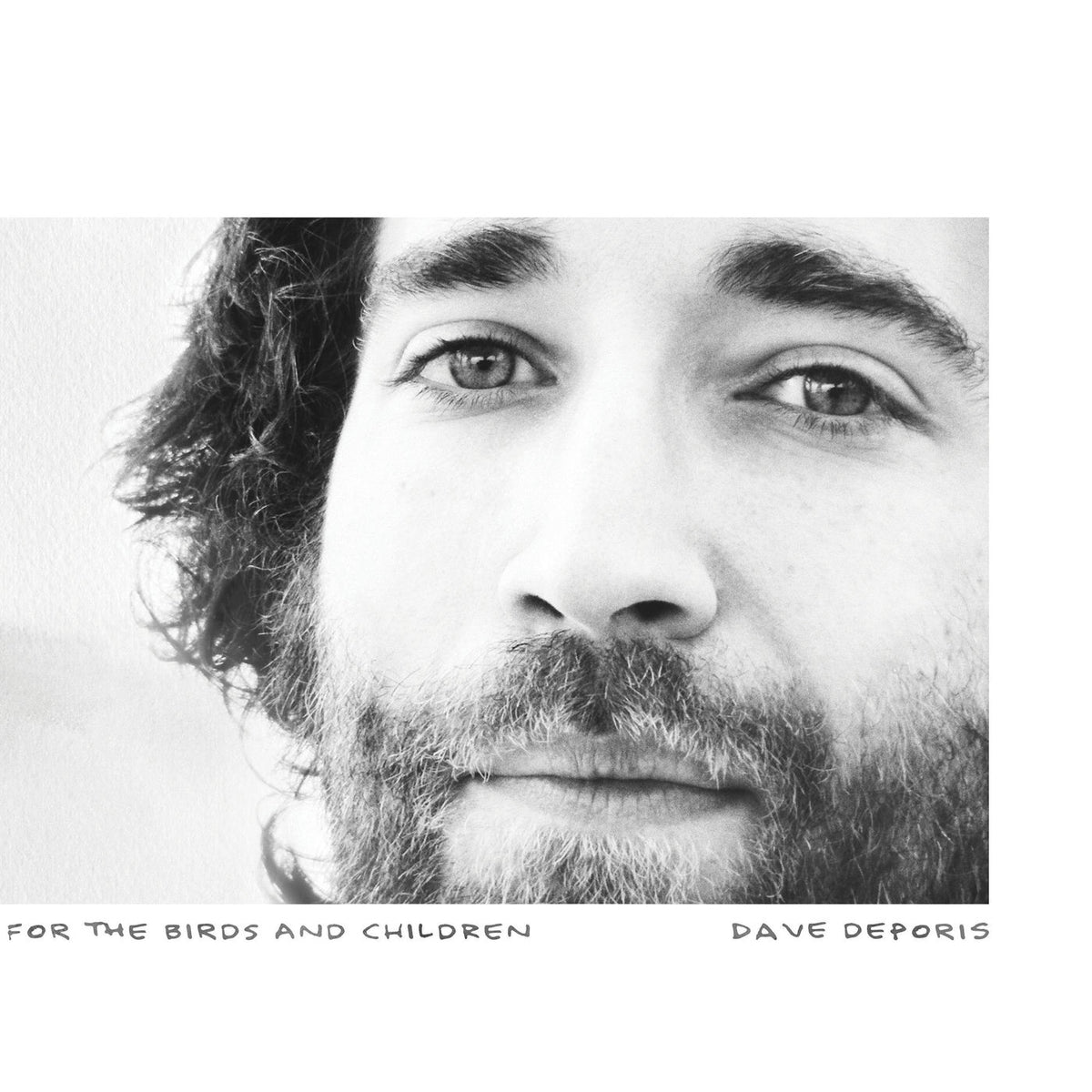 Dave Deporis – For the Birds and Children vinyl cover
