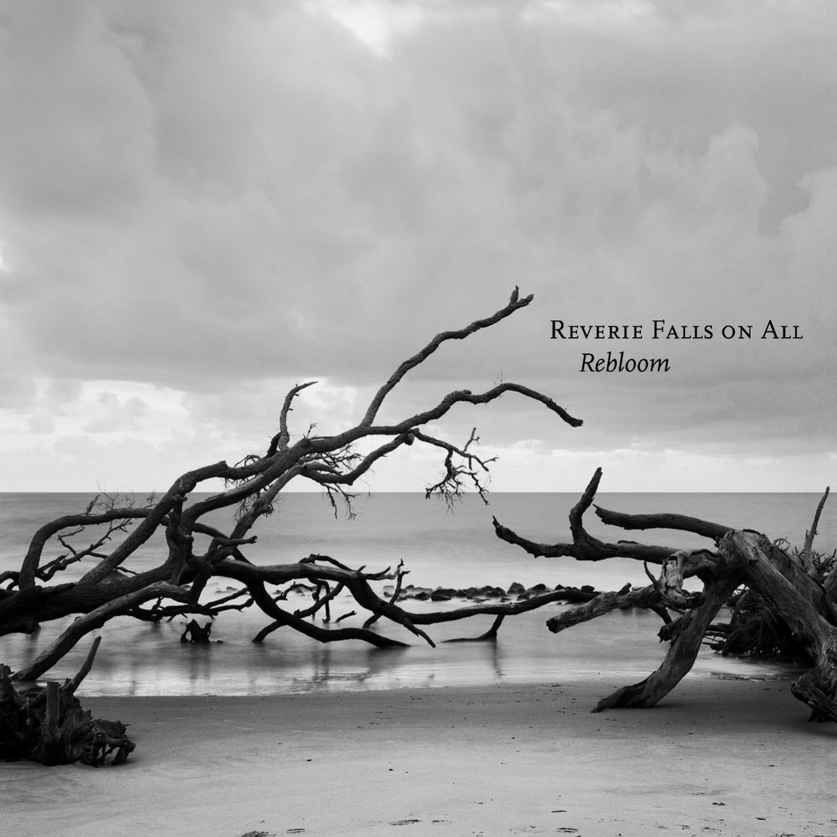 Reverie Falls On All – Rebloom vinyl cover