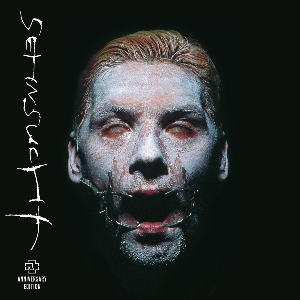 Rammstein – Sehnsucht vinyl record cover