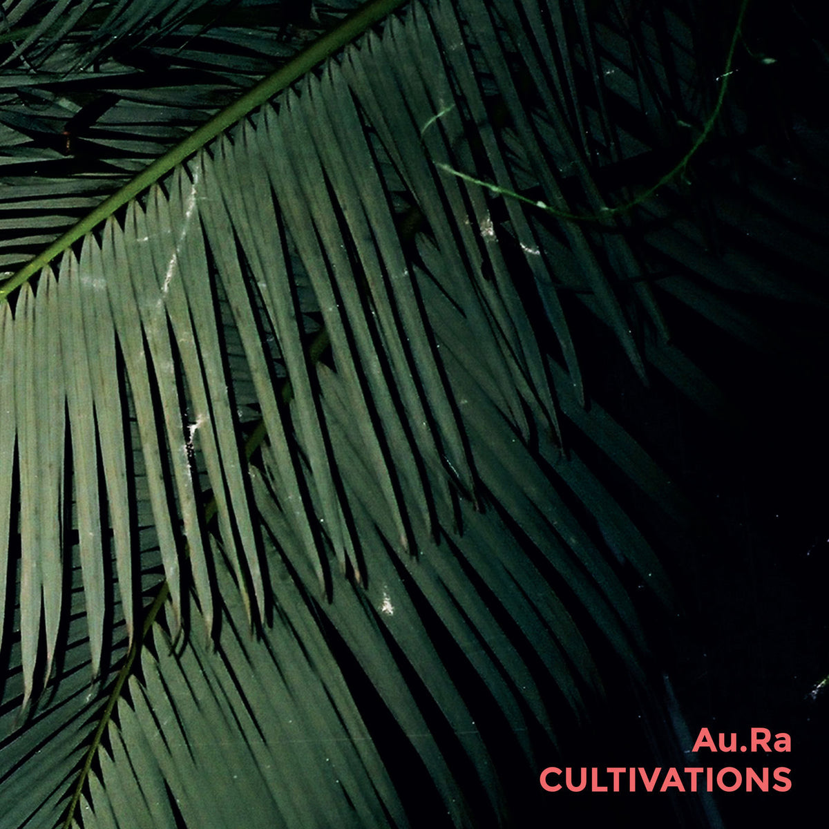 Au.Ra – Cultivations vinyl record cover