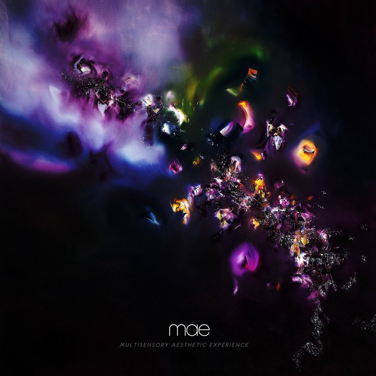 Mae – Multisensory Aesthetic Experience vinyl record cover