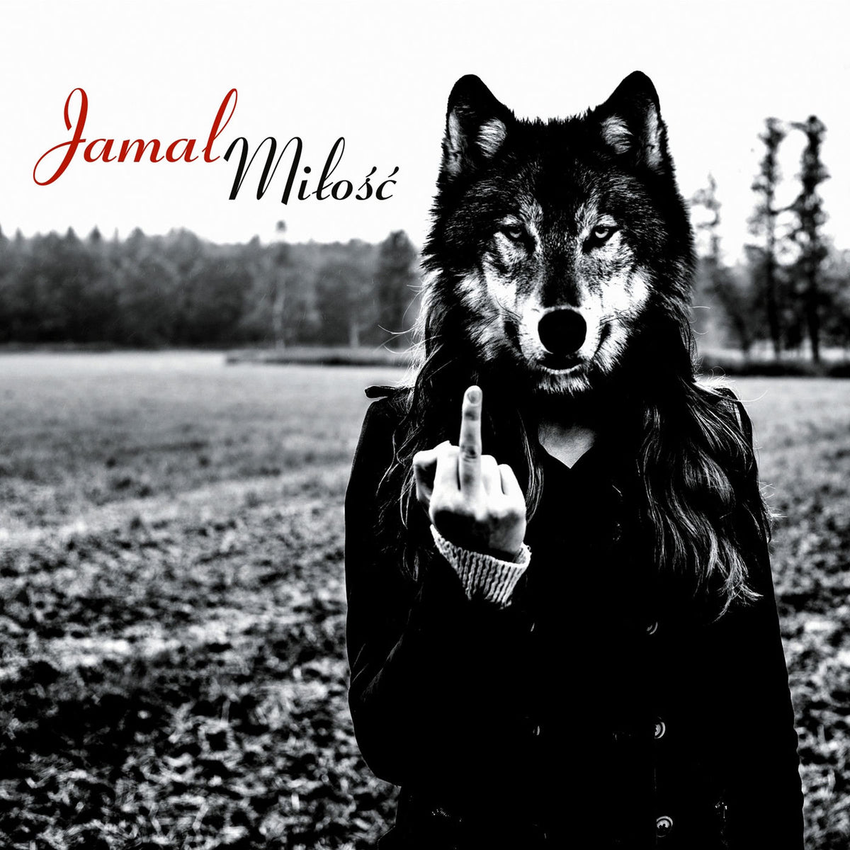 Jamal – Milosc vinyl record cover