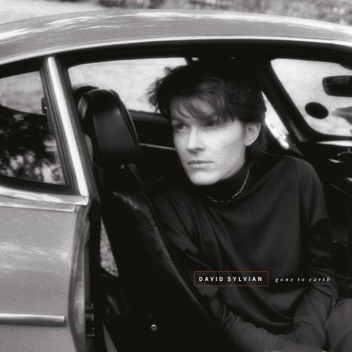David Sylvian – Gone to Earth vinyl record cover