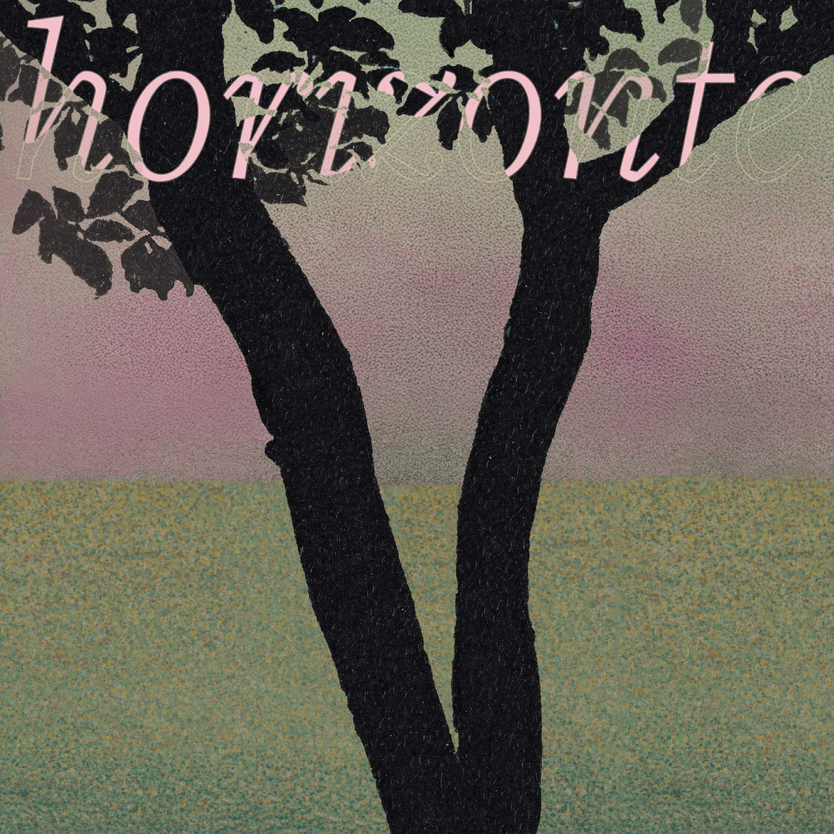 Funcionario – Horizonte vinyl record cover