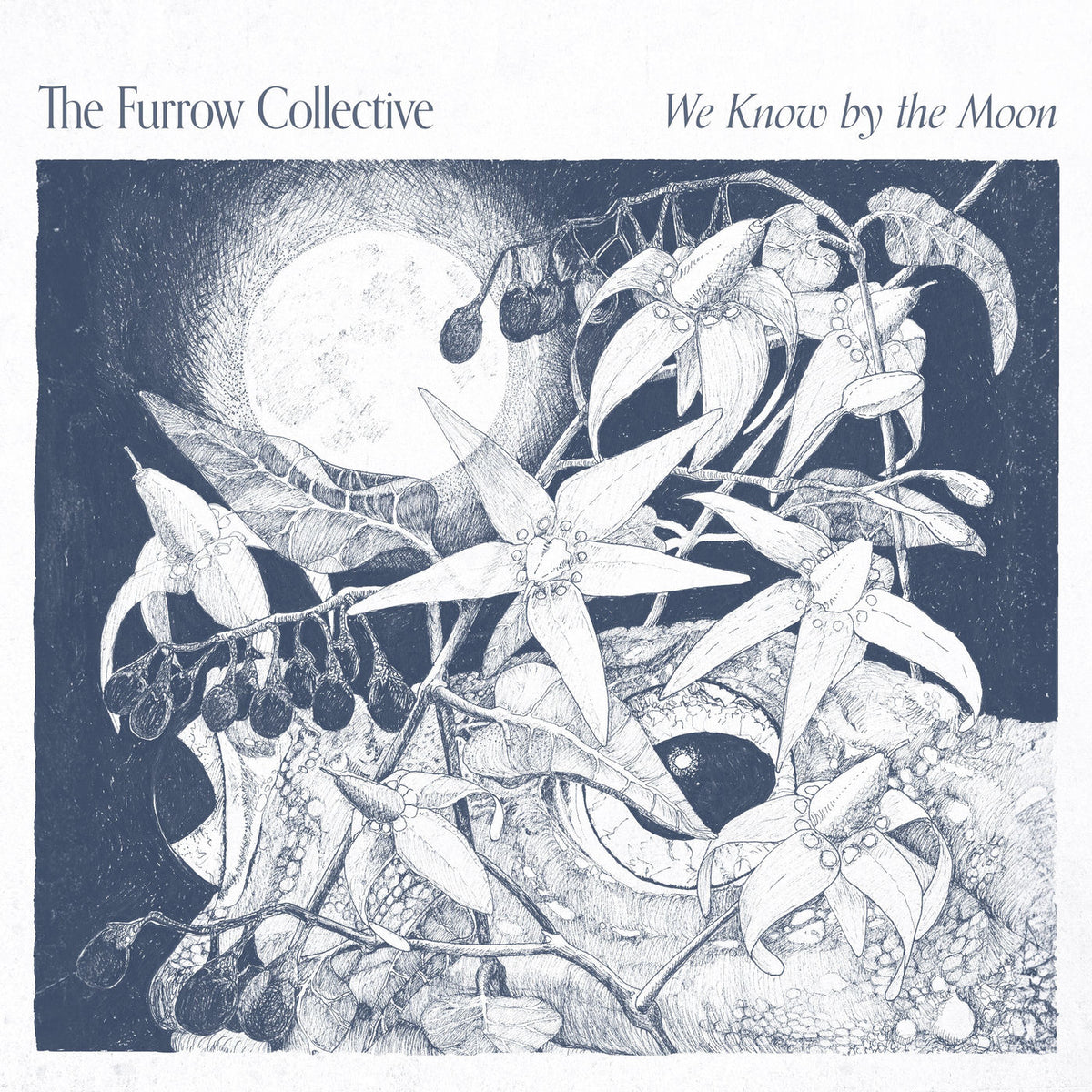 The Furrow Collective – We Know By The Moon vinyl cover